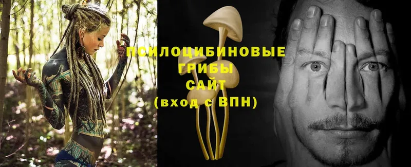 Псилоцибиновые грибы Magic Shrooms  Тобольск 